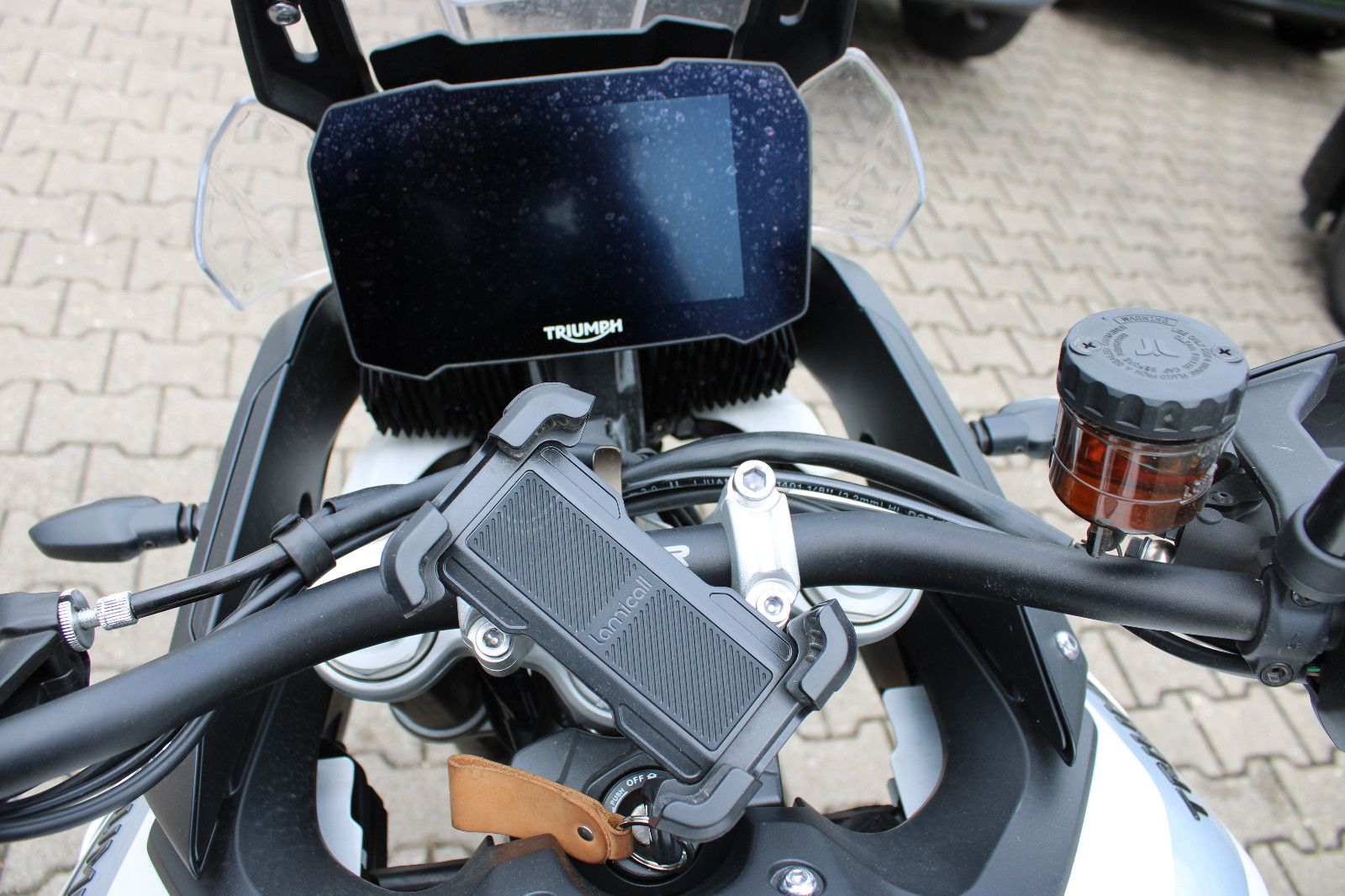 Fahrzeugabbildung Triumph Tiger 900 GT LOW