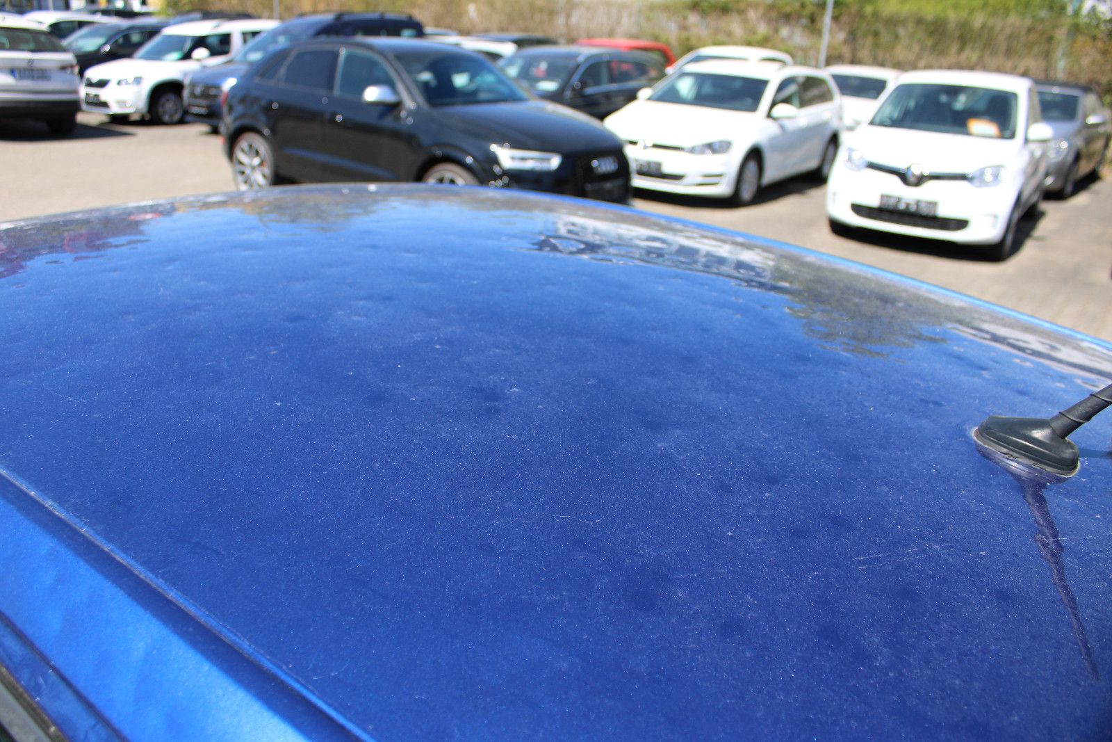 Fahrzeugabbildung Volkswagen Polo 1.0 TSI  DSG PDC,Kamera,LED,SHZ