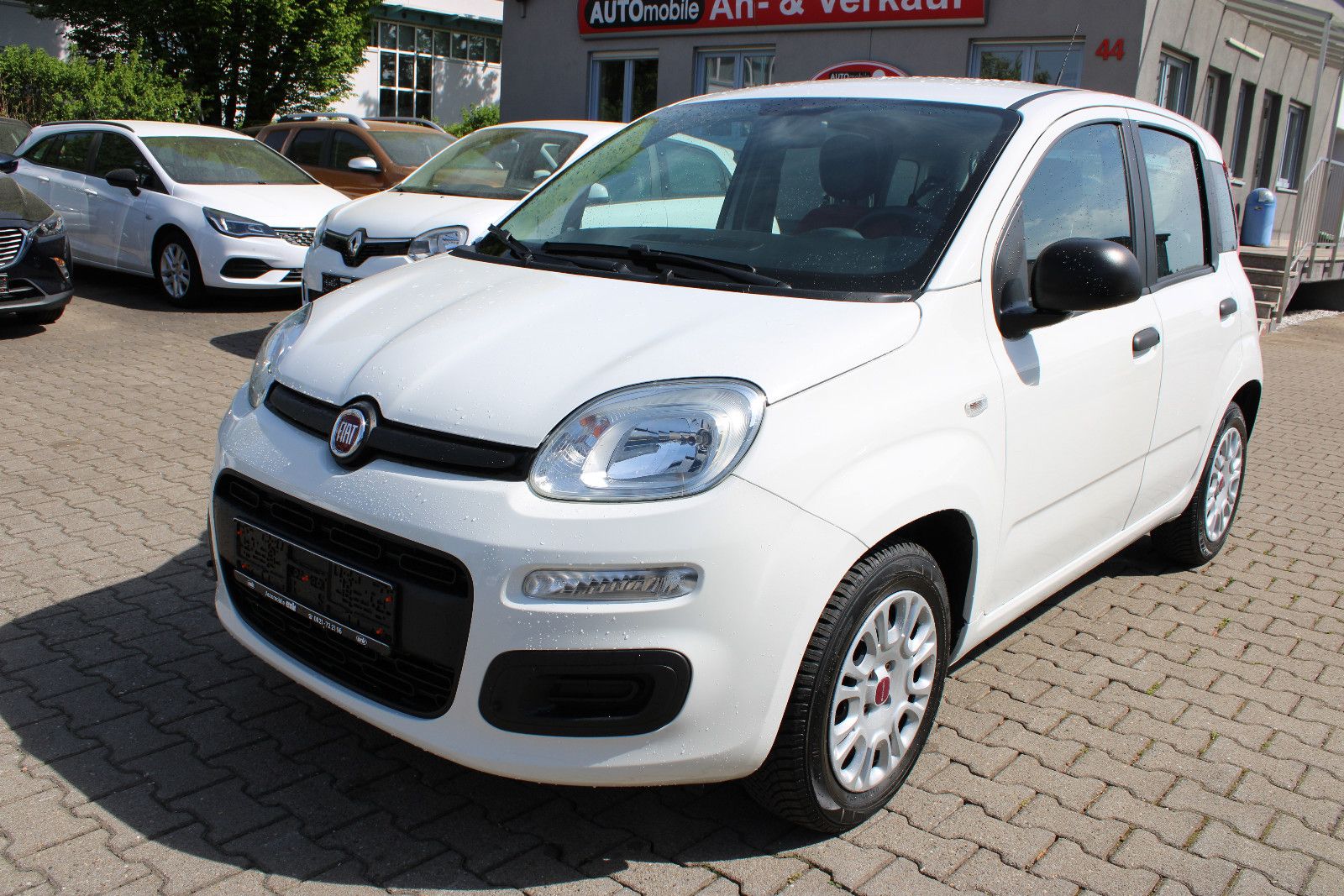 Fahrzeugabbildung Fiat Panda 1.2 Klima TÜV neu