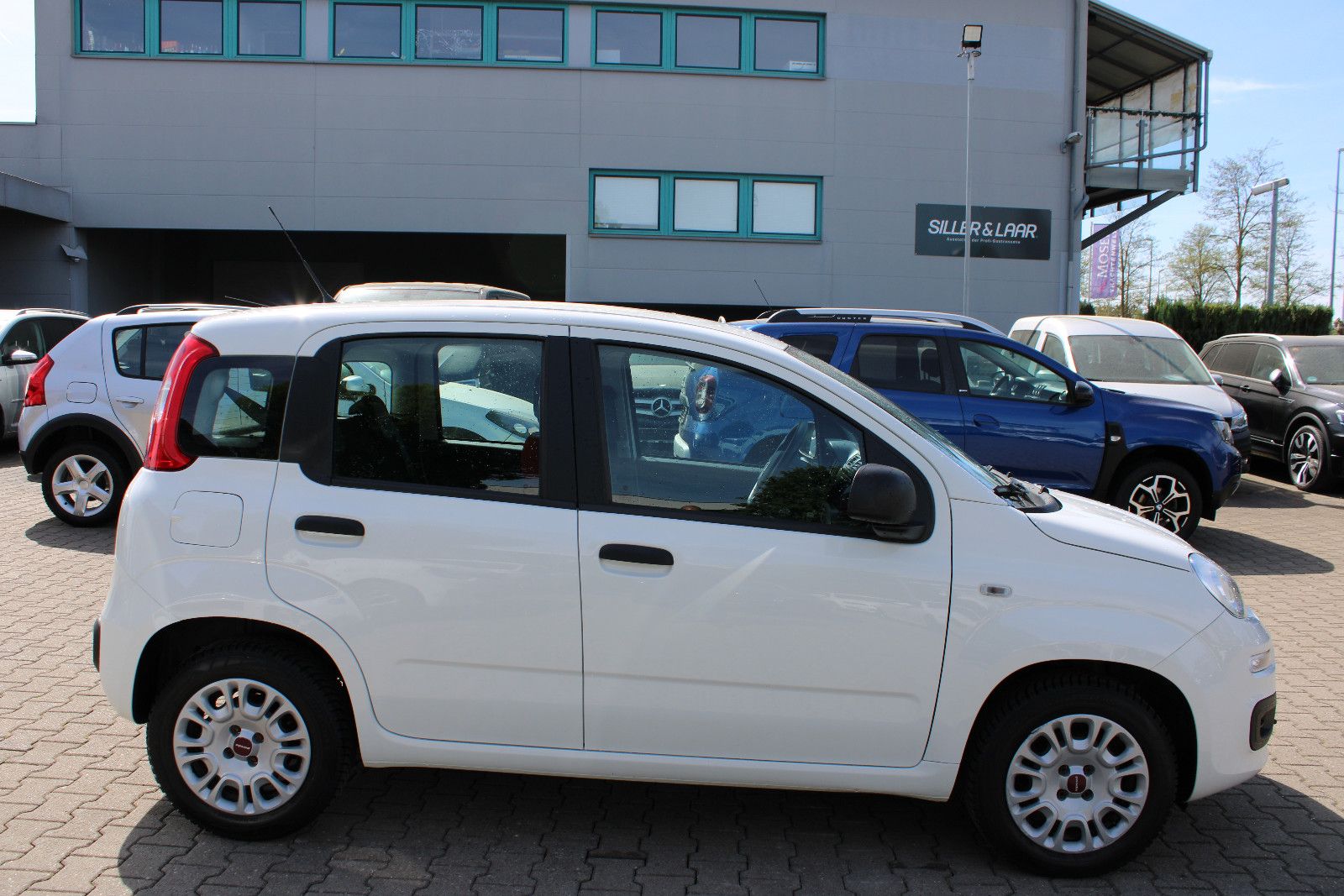Fahrzeugabbildung Fiat Panda 1.2 Klima TÜV neu