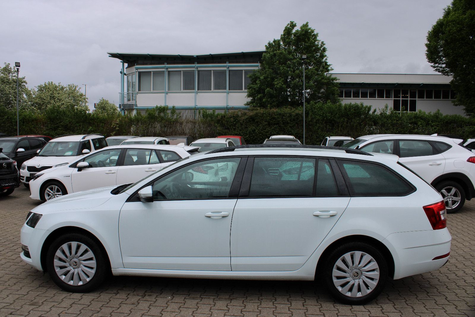 Fahrzeugabbildung SKODA Octavia 1.6 TDI Combi SHZ,Navi,PDC,LED